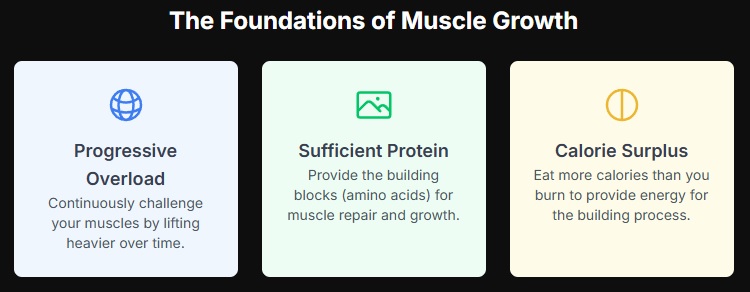 7 Day Muscle Building Diet Plan
