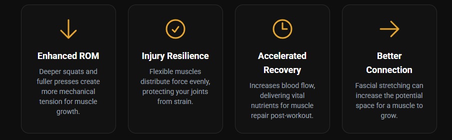 Why Smart Bodybuilders Stretch